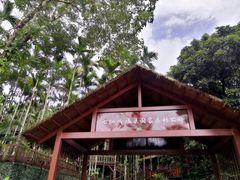 -七仙岭温泉国家森林公园