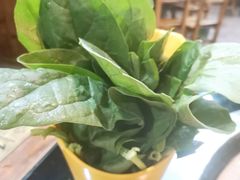 -三里屯土灶炖公鸡地锅鸡(江东店)