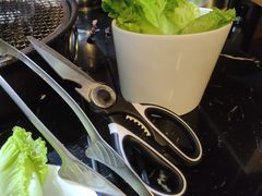 -燚青春东北泥炉烤肉(百合店)