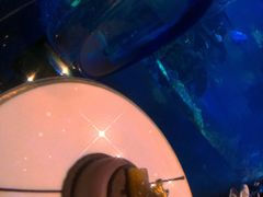 -迪拜帆船酒店海底餐厅