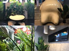 -SENTEA森茶(麦地丽日店)