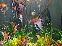 -成都浩海立方海洋公园