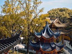 -上海东林寺(金山区)