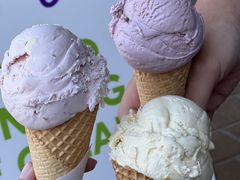 -Dooley's Premium Ice Cream