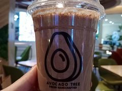烟暖乌龙茶-油梨树AVOCADO TREE(嘉里中心店)