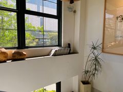 -一坐一忘云南菜(嘉里中心店)