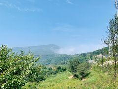 -阳台山自然风景区