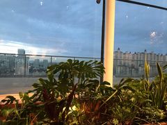 -Seesaw Coffee(朝阳大悦城店)