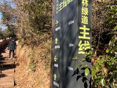 -杭州半山国家森林公园