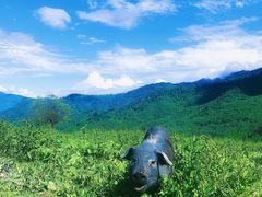 -硗碛藏寨·神木垒景区