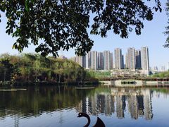 -重庆彩云湖湿地公园