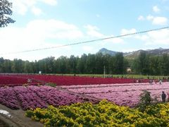 android_upload_pic-乌龙峡谷景区