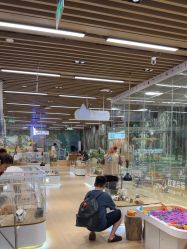 -小象动悟公园(龙湖亦庄天街店)
