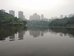 -重庆彩云湖湿地公园