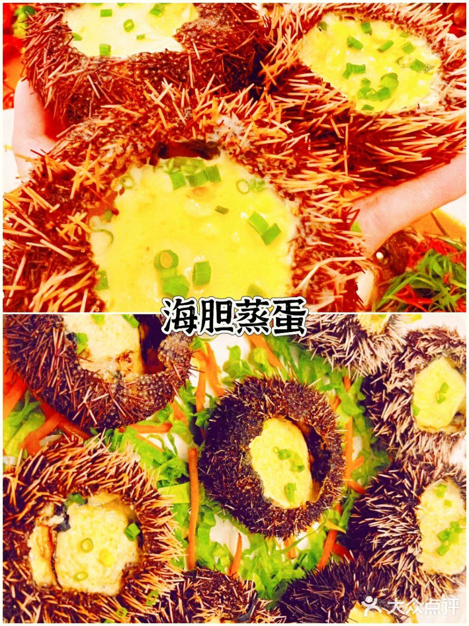家人们！我要曝光三亚这家超实惠的海鲜店~