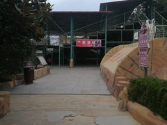 -东方熊牧场