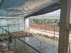 -庞各庄翠芳园西瓜蔬菜基地采摘园