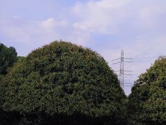 -重庆园博园
