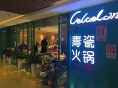 -青瓷火锅料理(西单大悦城店)
