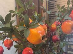 -汉水谣·江景餐厅(江滩店)