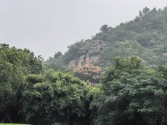 -绍兴镜湖国家城市湿地公园