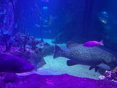 -沈阳海洋探索中心