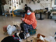 -平行世界·猫咖(首经贸店)