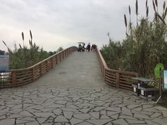 -白鹭湾湿地公园