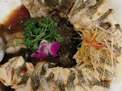 -博雅渔港·融合菜(维也纳国际大酒店)