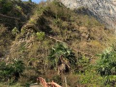 -鹿院坪生态旅游景区