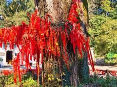 -三国赤壁古战场
