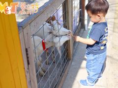 -前小桔亲子创意农场·草莓采摘·露营烧烤