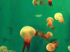 -石林冰雪海洋世界