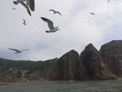 -海驴岛(荣成市)