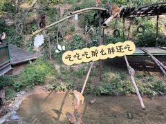 -西双版纳原始森林公园