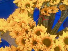 -三圣花乡旅游区