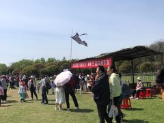 -合肥三国新城遗址公园