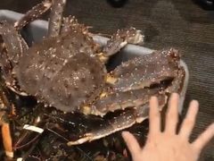 -鱼乐轩海鲜专门店