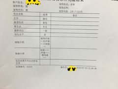 -纳吉亚猫专科动物诊疗中心(蒋宅口分院)