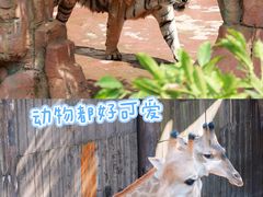 -长鹿旅游休博园