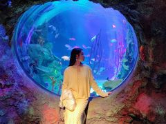 -沈阳海洋探索中心