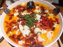 鲜花椒龙胆鱼-上饍·中国厨房(建发JFC品尚中心店)