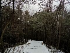 -武陵山森林公园