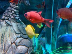 -沈阳海洋探索中心