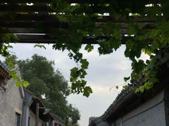 -春风习习
