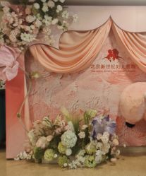 -北京新世纪妇幼医院·产检·分娩·计生(望京院区)