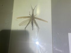 -上海昆虫博物馆