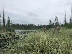 -白鹭湾湿地公园