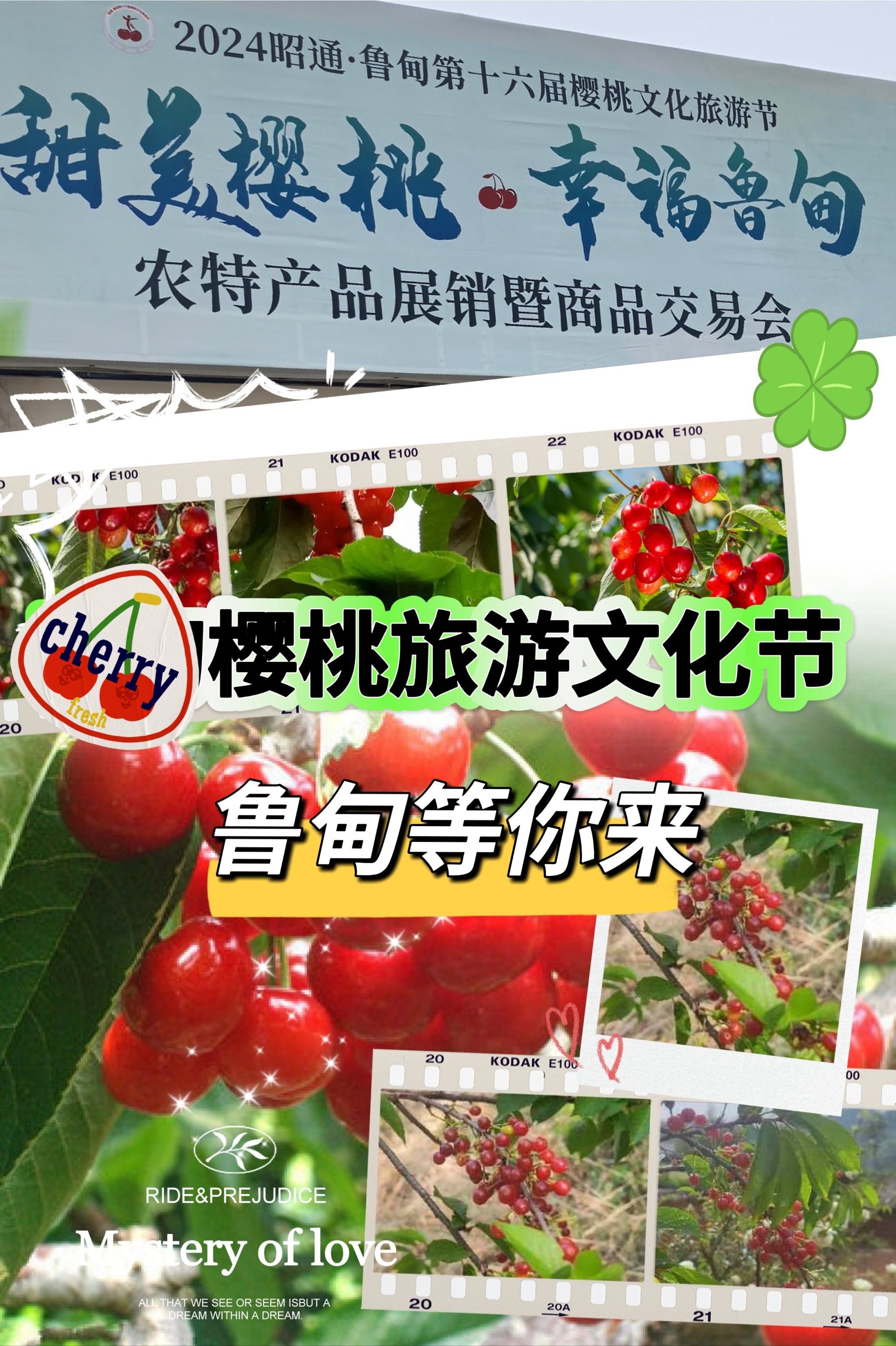 在云南有一种节,叫樱桃节!