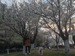 -钱塘江